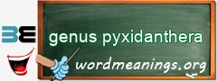 WordMeaning blackboard for genus pyxidanthera